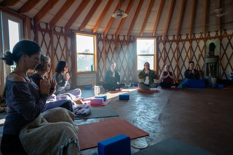 Guided Meditation
